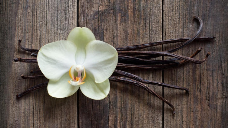 Ты так часто встречаешь слово "Ваниль", но даже не знаешь, как она на самом деле выглядит