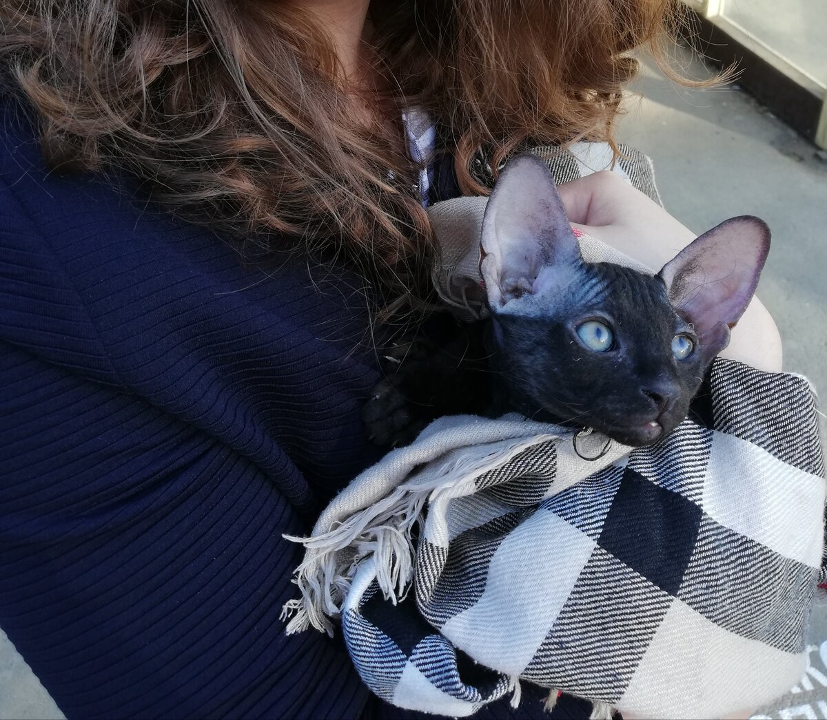 Только вышли из дома заводчицы.