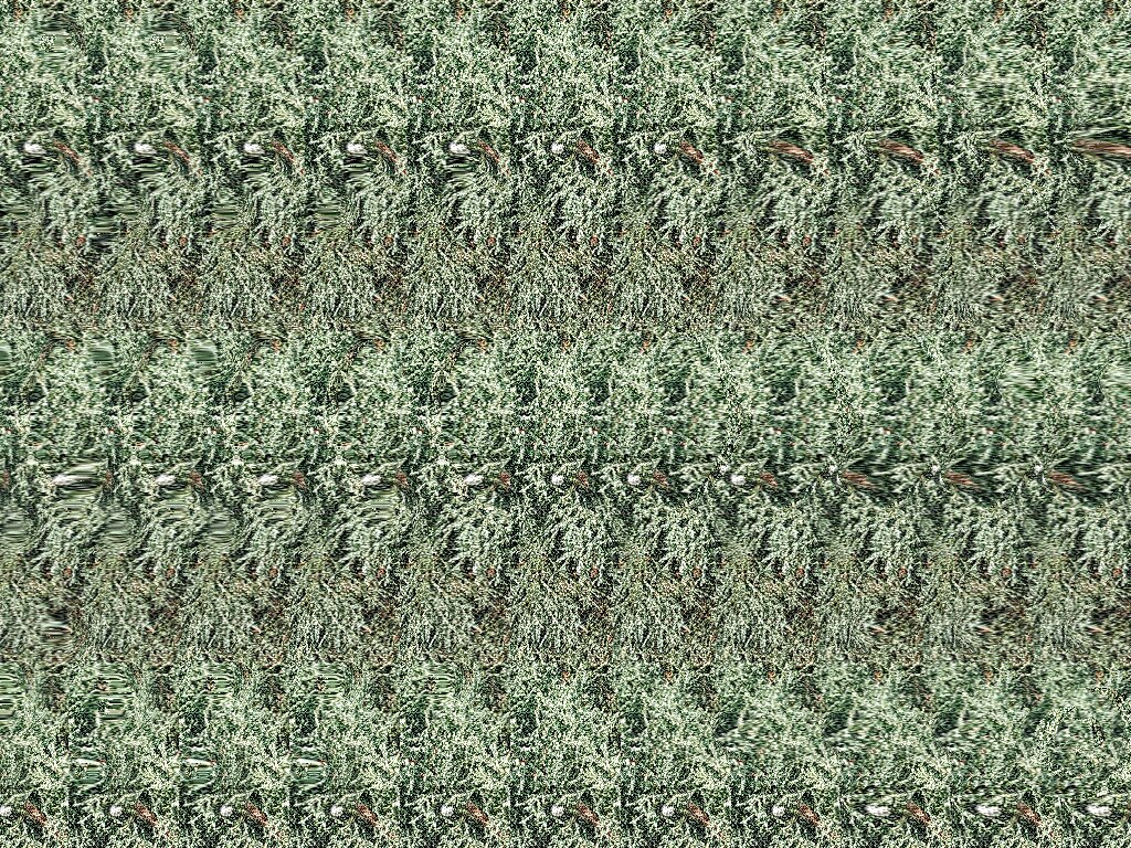 На картинке присутствуют буквы.