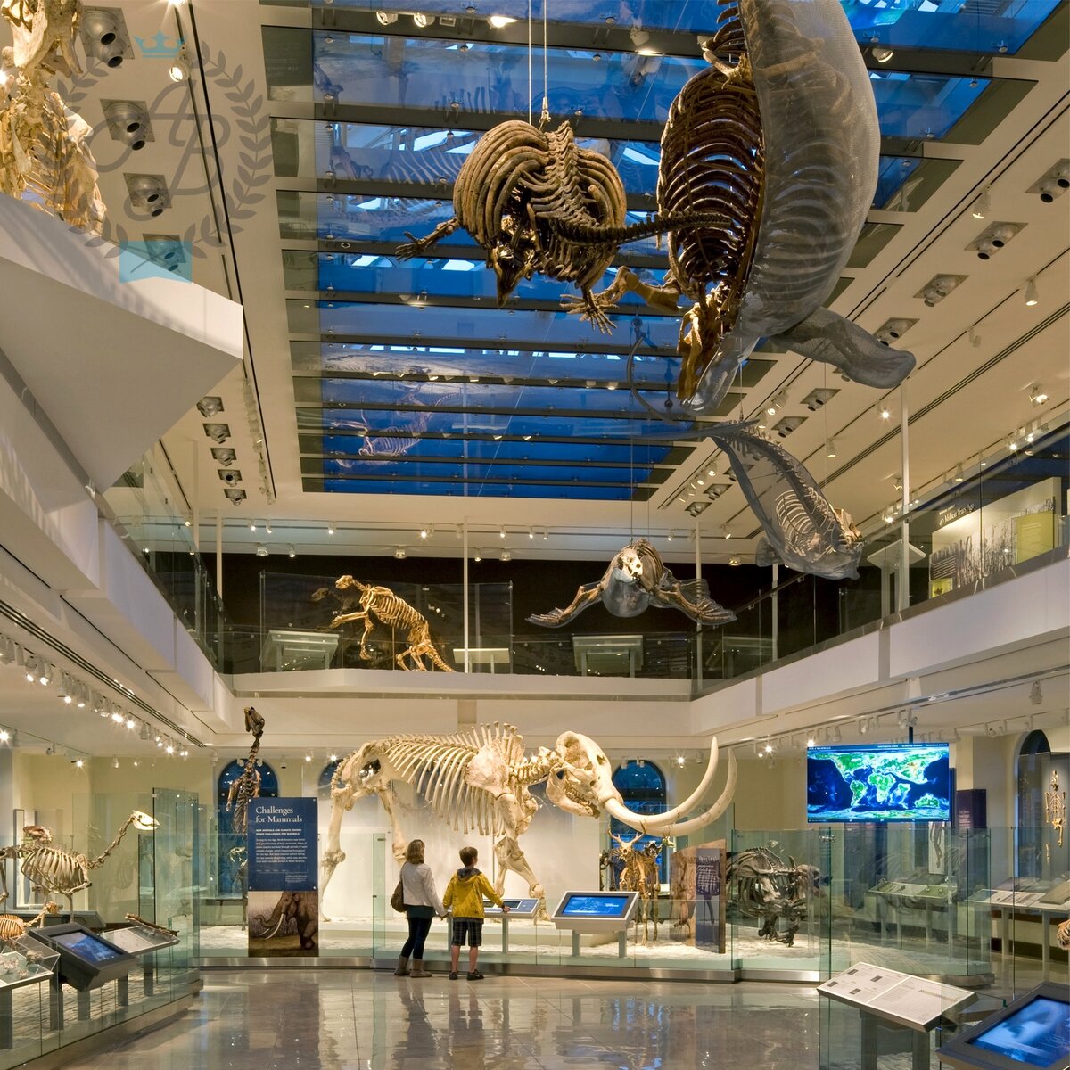 Natural History Museum of Los Angeles County