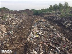 Аэродромы, свалки и чайки: в Чувашии решают, а в других регионах - сплошные проблемы 	