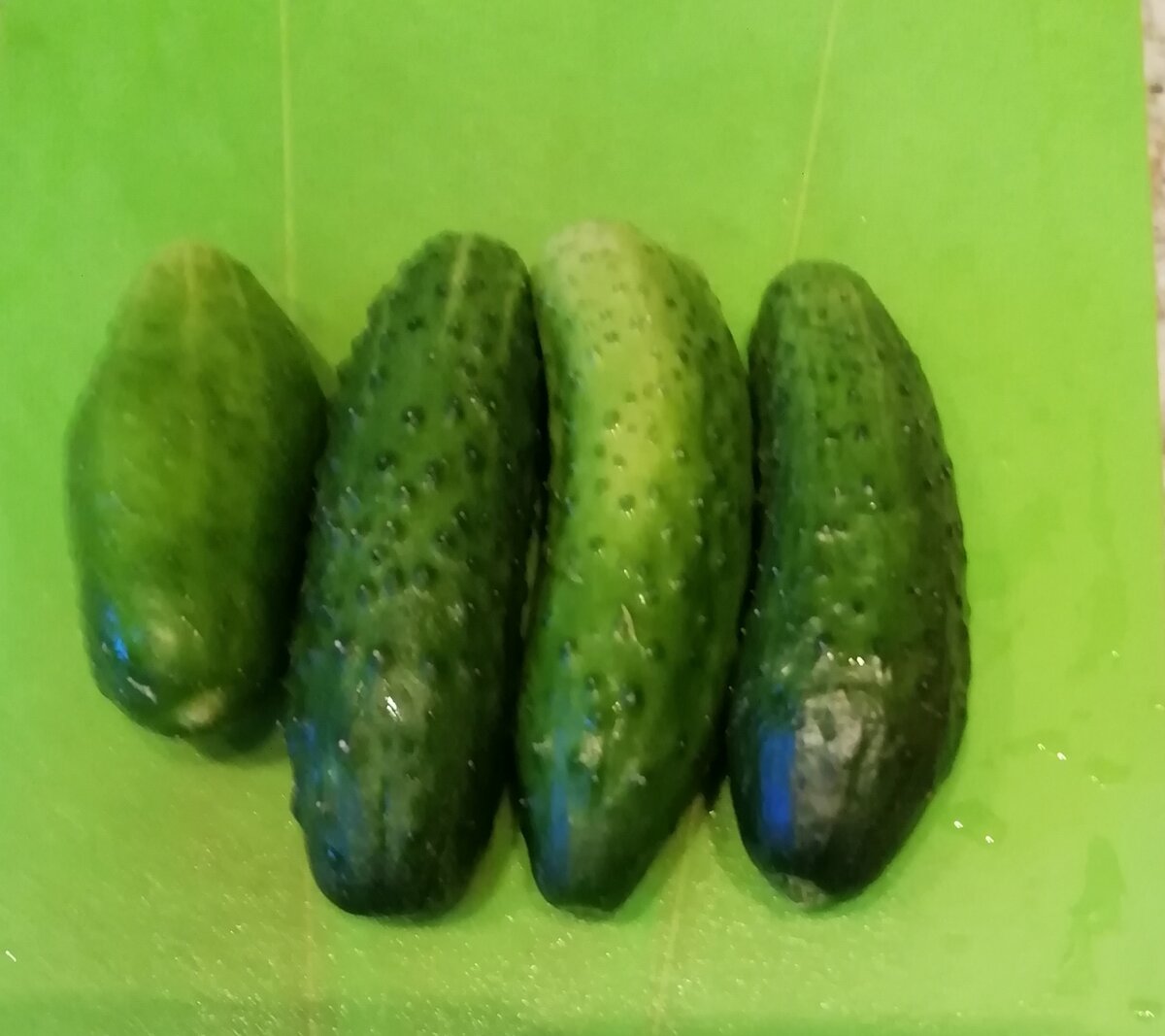 Порезать можно и кружочками