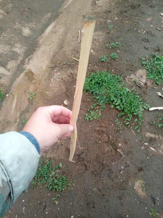 Берем палку