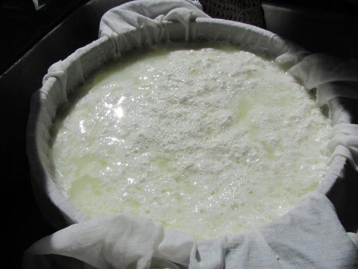 Домашний твердый сыр с орехами – пошаговый рецепт приготовления с фото