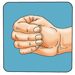 Рисунок взят из открытых источников