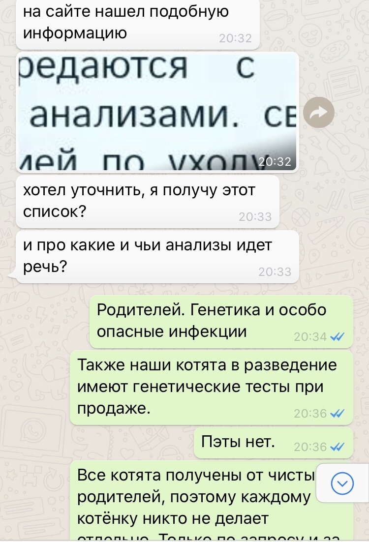 Генетические тесты у кошек тоже делаются