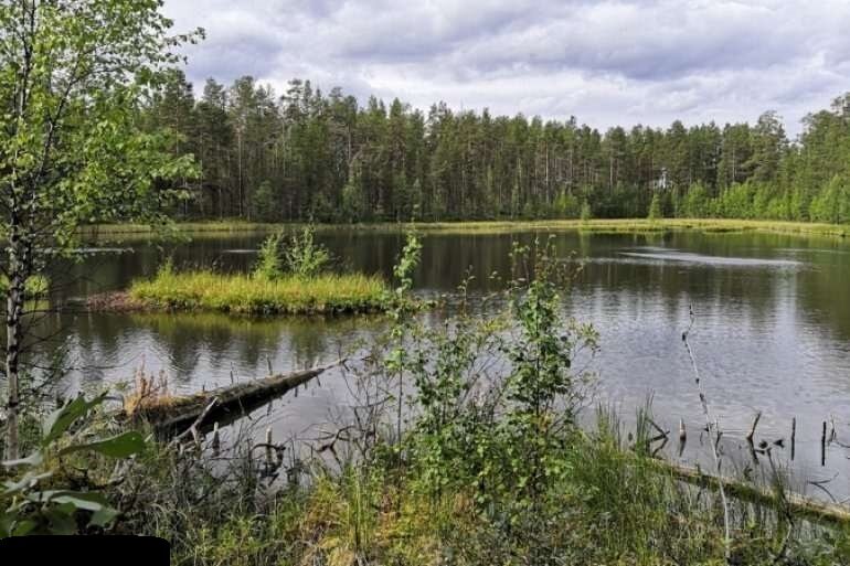 Сверхъестественное, аномалии, наука, нло, интересные факты, политика, Россия