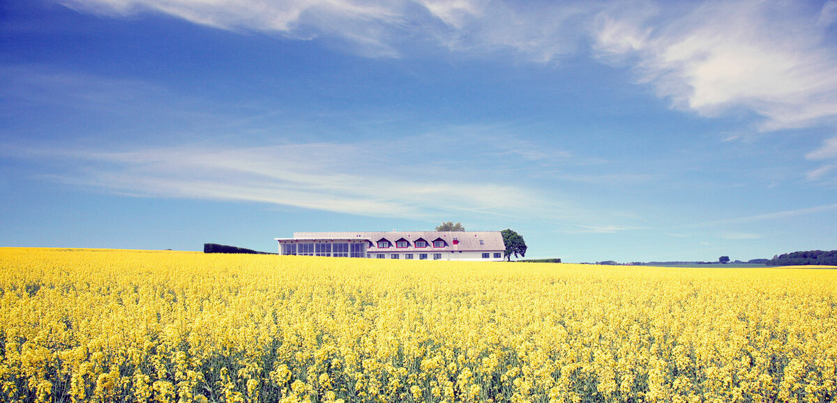 фото с официального сайта  Igelösa