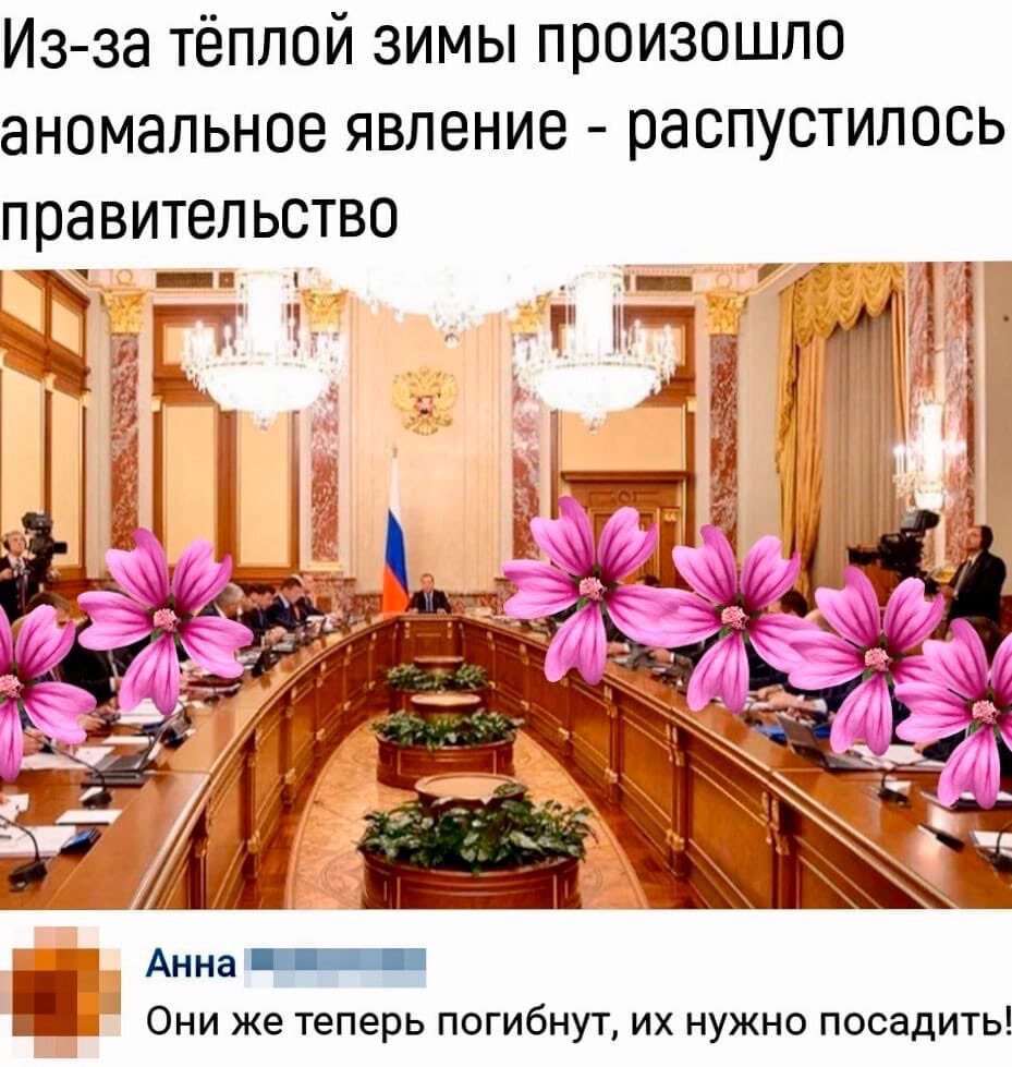 Мем прислали в мессенджер на следующий день, после отставки правительства