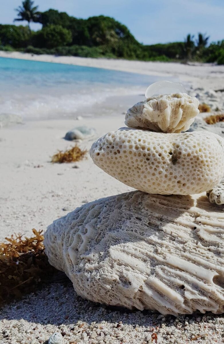 море позитива