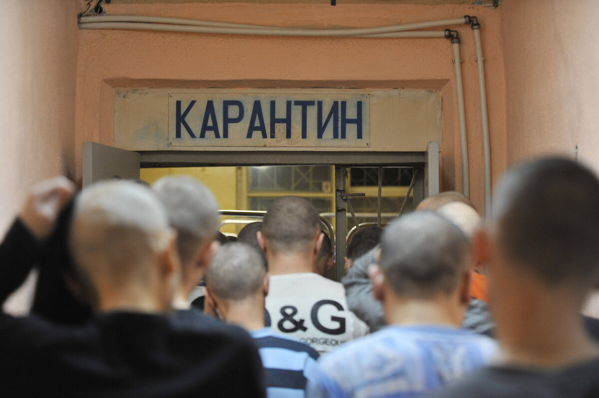 Источник: Rapsinews.ru