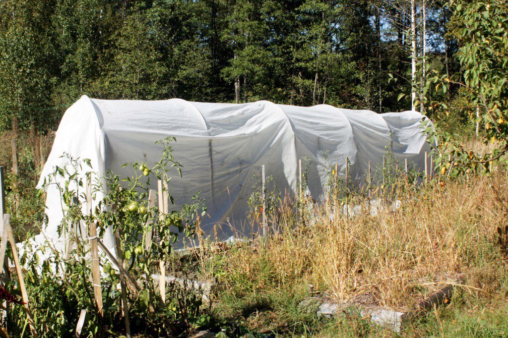 Парник под агроволокном