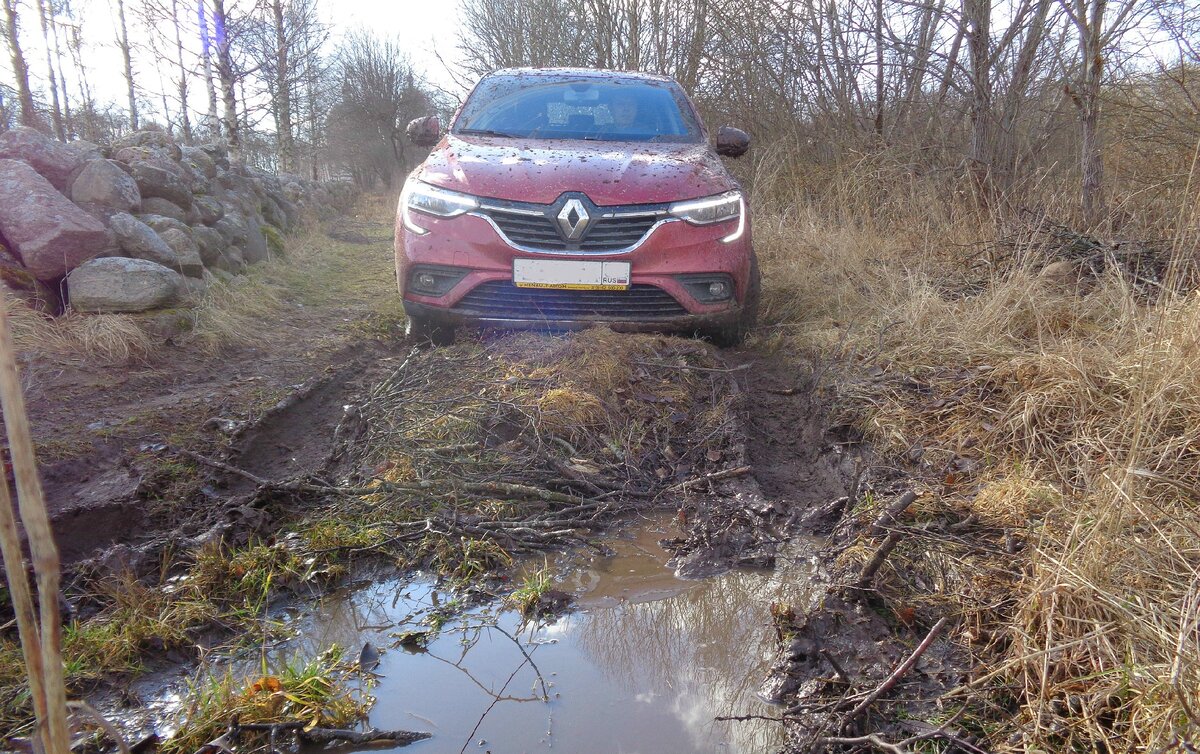 Renault Arkana 1.6 фото Pro Автомобиль