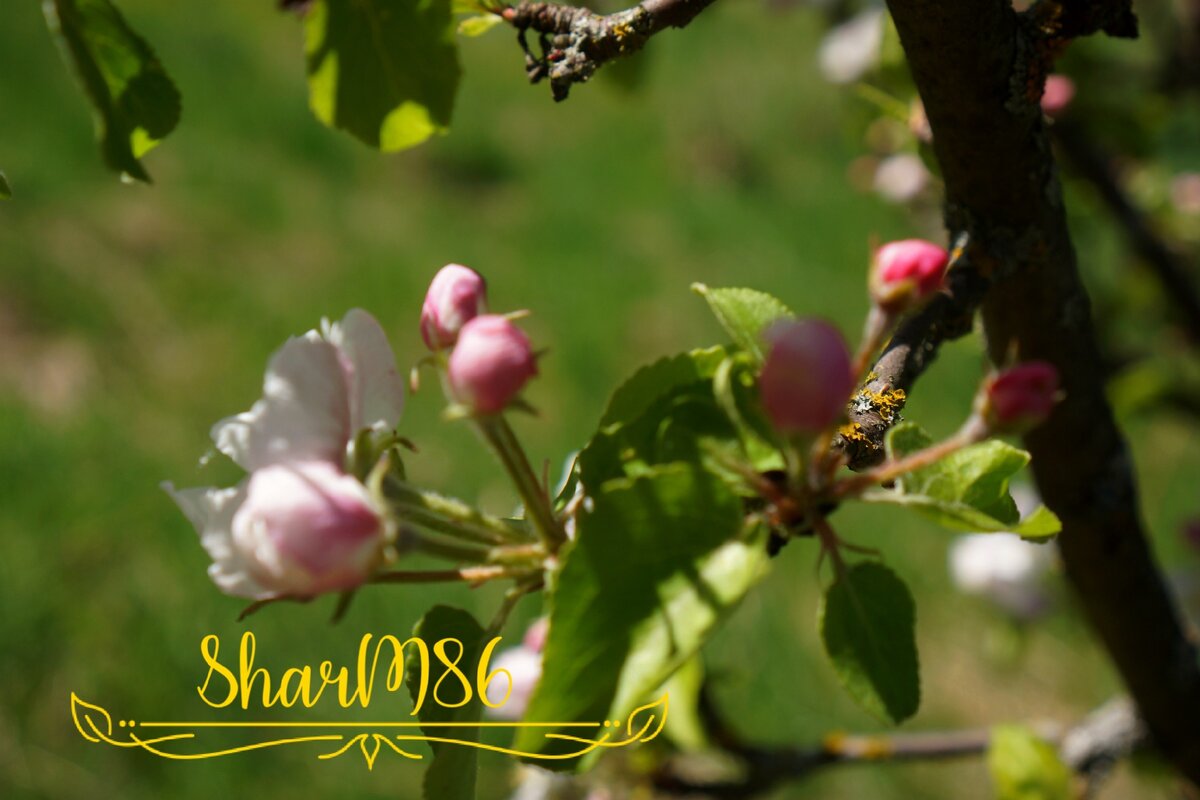 **ЛИЧНОЕ ФОТО**