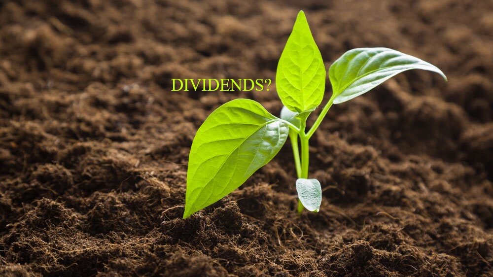 Товарищ, верь, взойдут они...