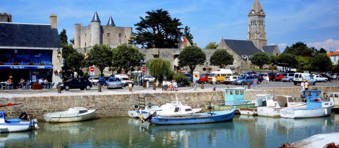 Нуармутье́ — остров у атлантического побережья Франции в департаменте Вандея, неподалёку от устья Луары.