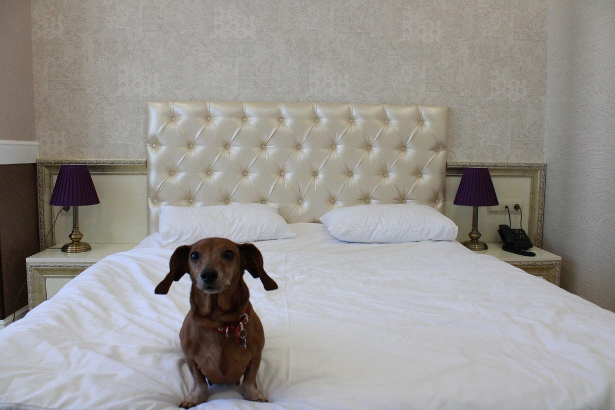 Бонни в Адлере