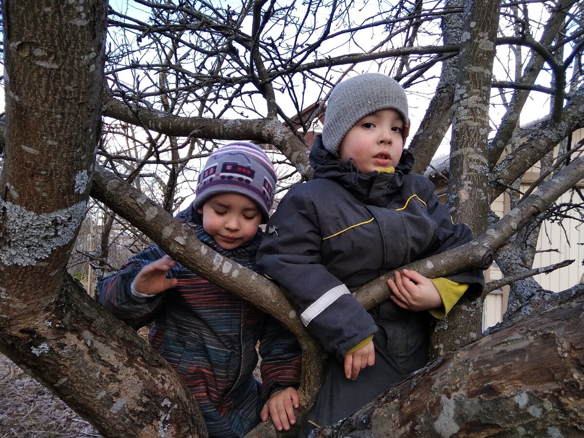 Пока дети пытались вдвоем залезть на дерево, мы с соседкой познакомились. Представилась она просто - Нина. 