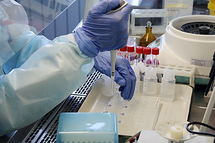 Фото: Павел Кононов / РИА Новости