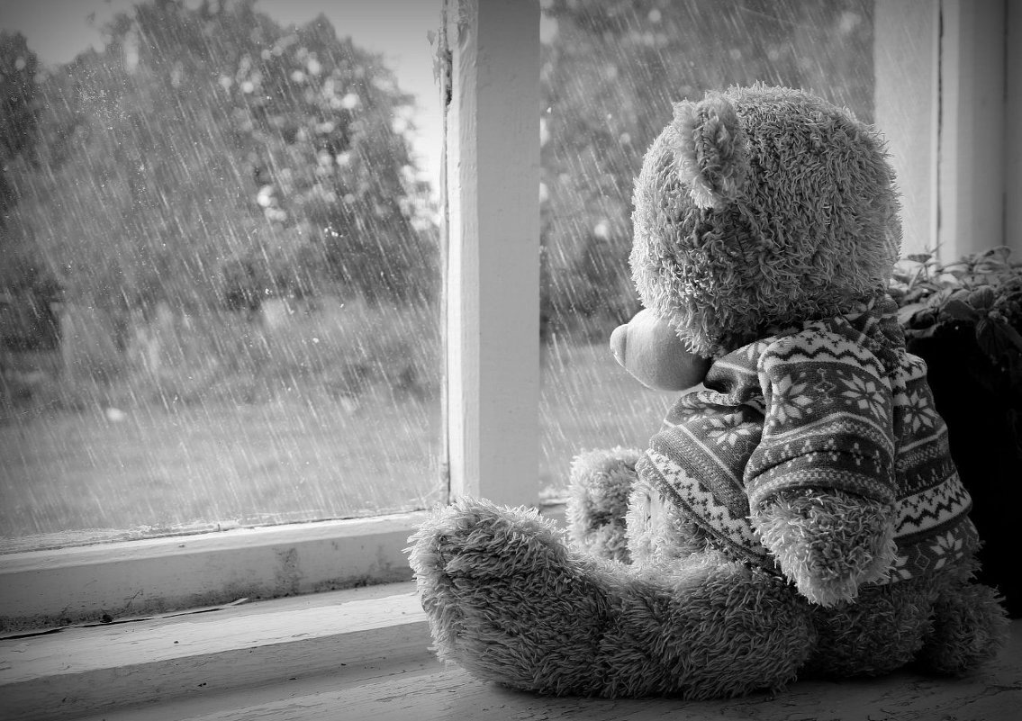 фото из интернета