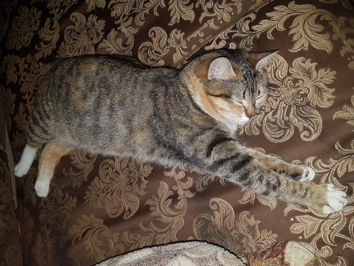 Девчуля отдыхает... 