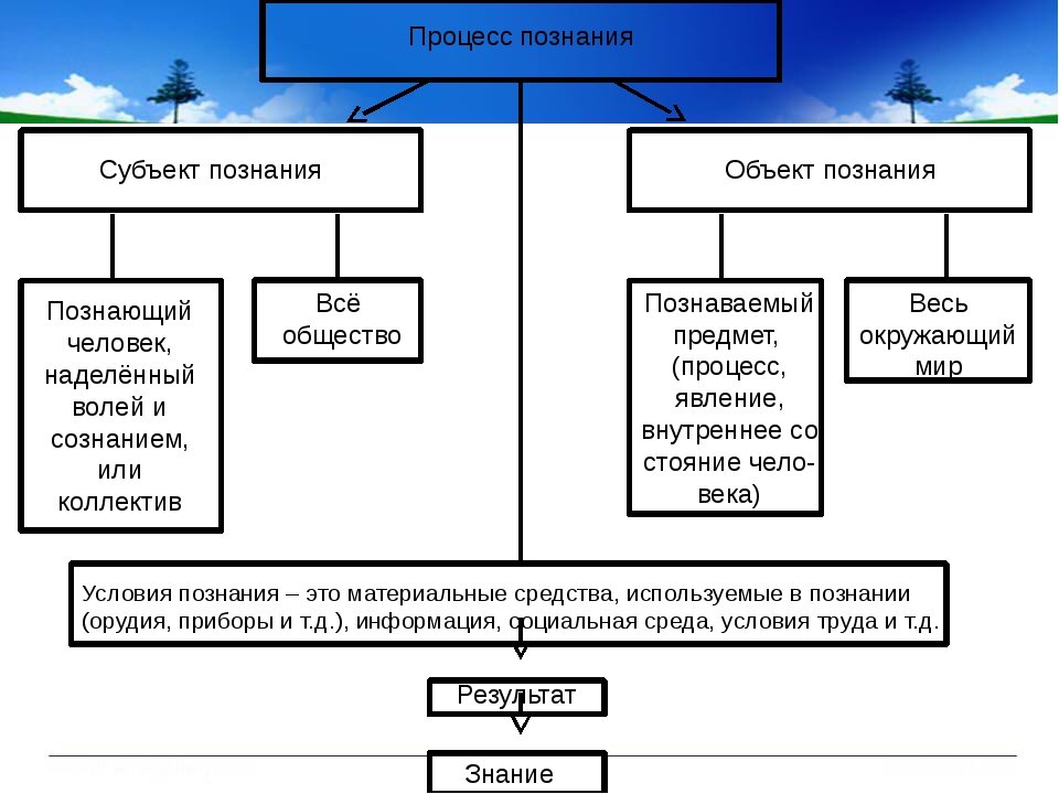 Процессом социального познания является. Виды процесса познания. Структура познания. Процесс познания в философии. Процесс познания схема.