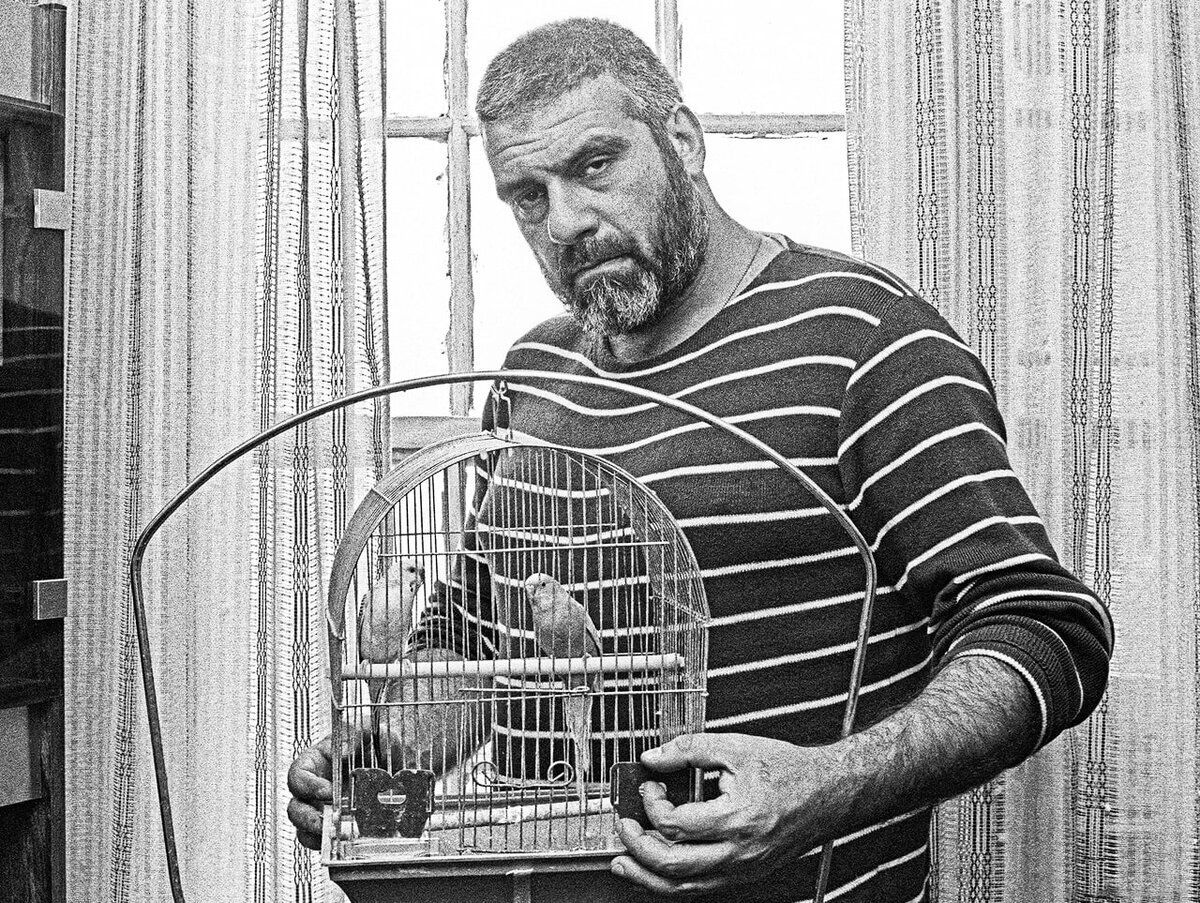 изображение из сети интернет и в свободном доступе