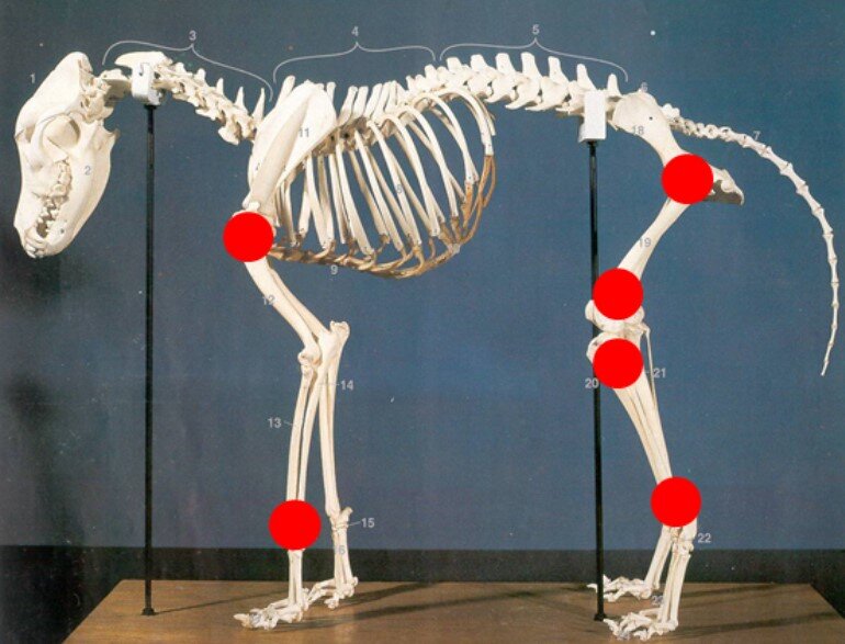 -2