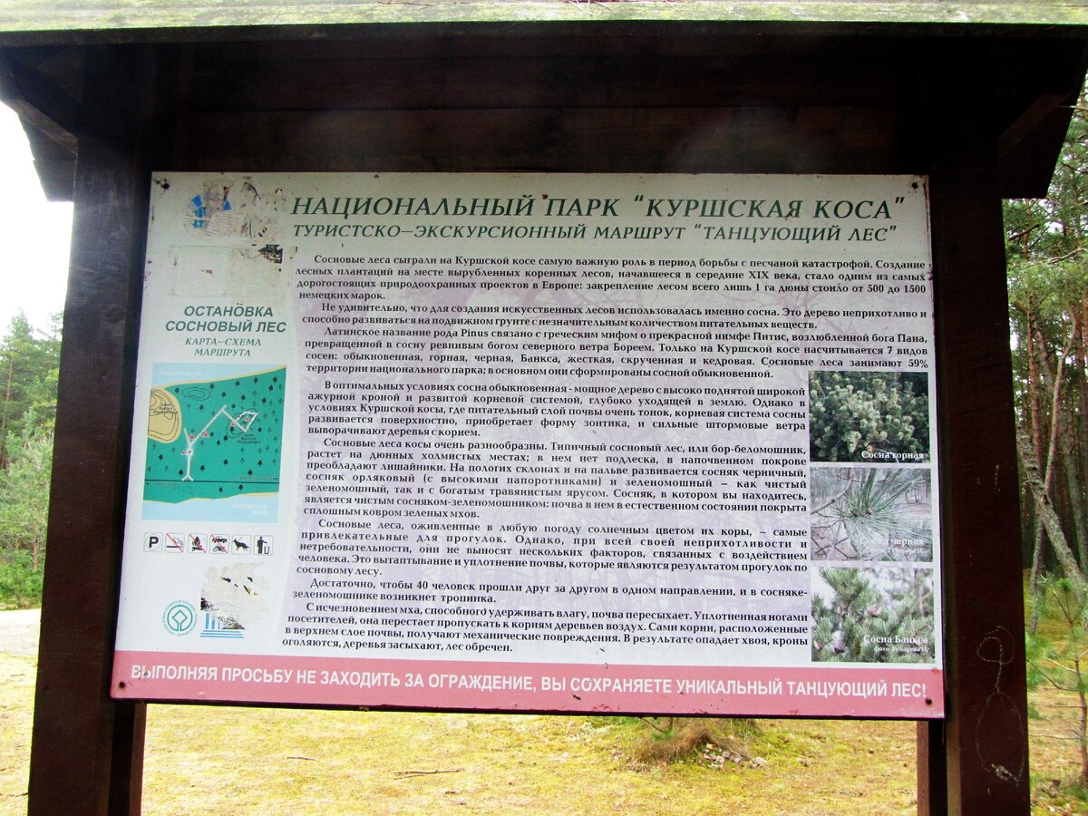 Информационный щит у начала маршрута.