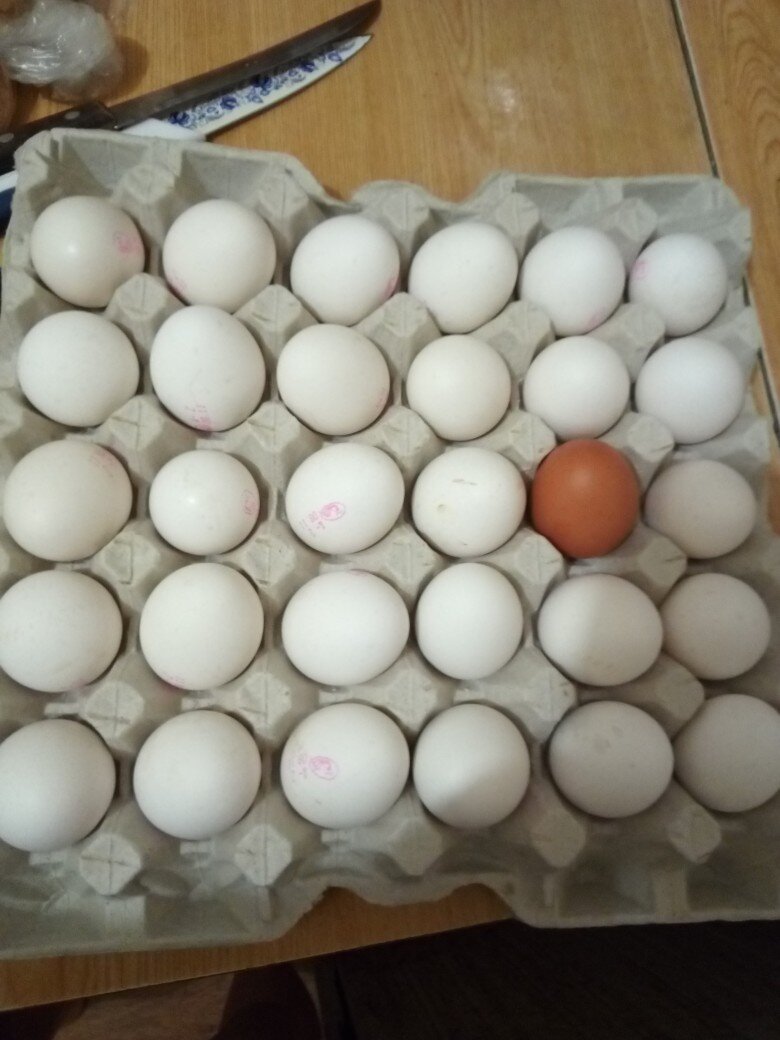 Фото взято из просторов интернета. 