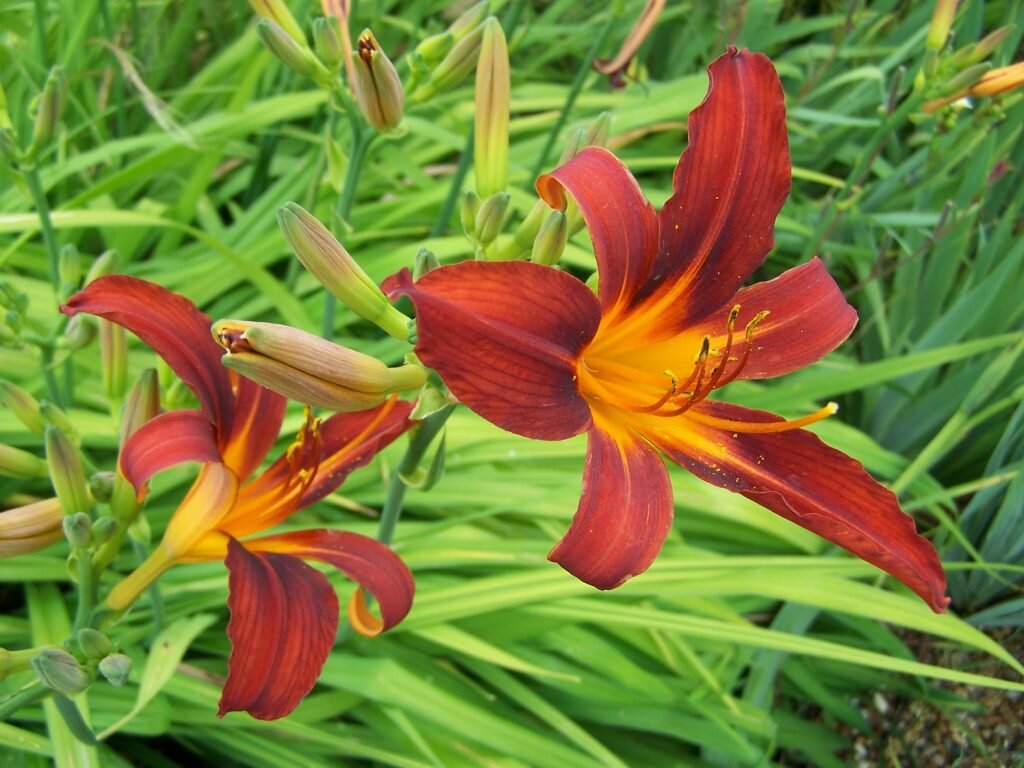 Источник фото: krrot.net