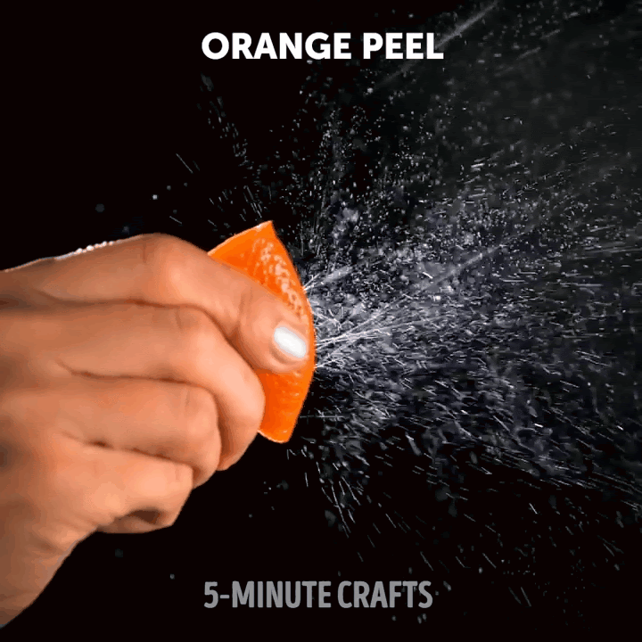 Видео взято из открытого источника