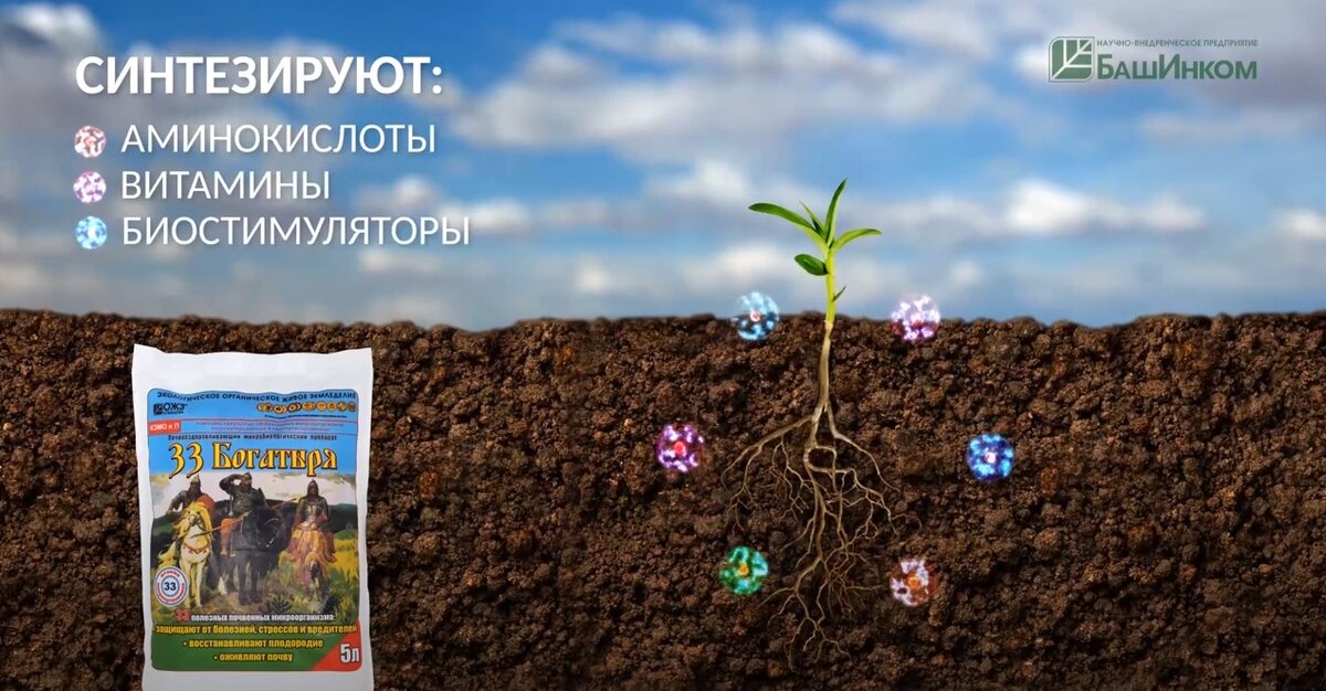 Кадр из видео БашИнком о препарате 33 богатыря