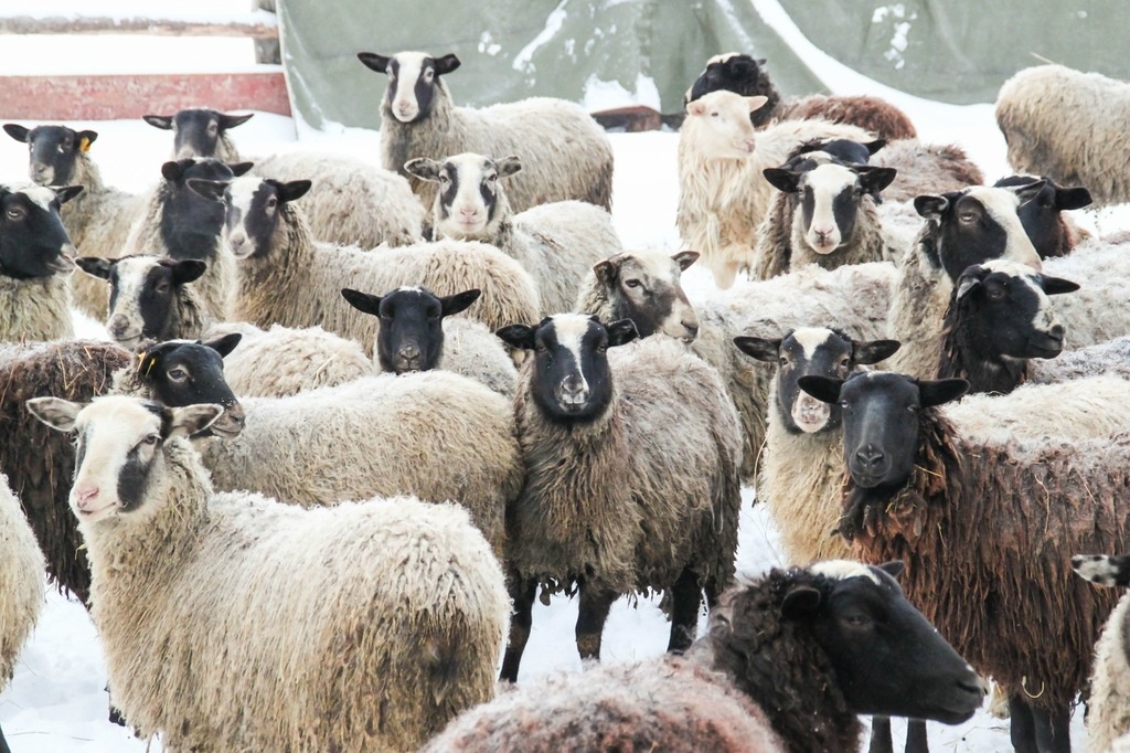 Источник:Яндекс картинки