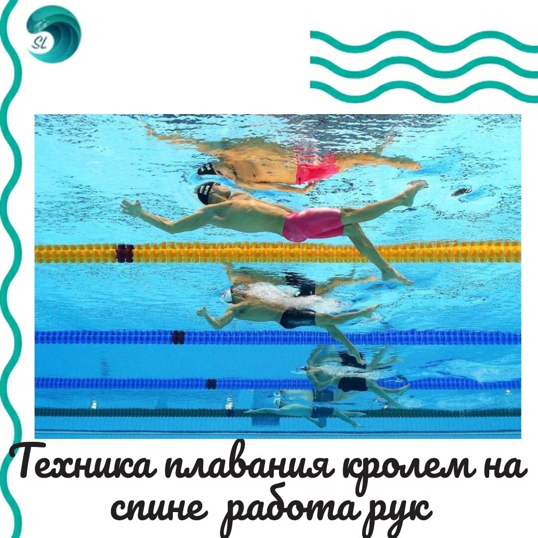 Плавай правильно. Техника плавания кролем на спине. Руки | Swimlife4.ru |  Дзен