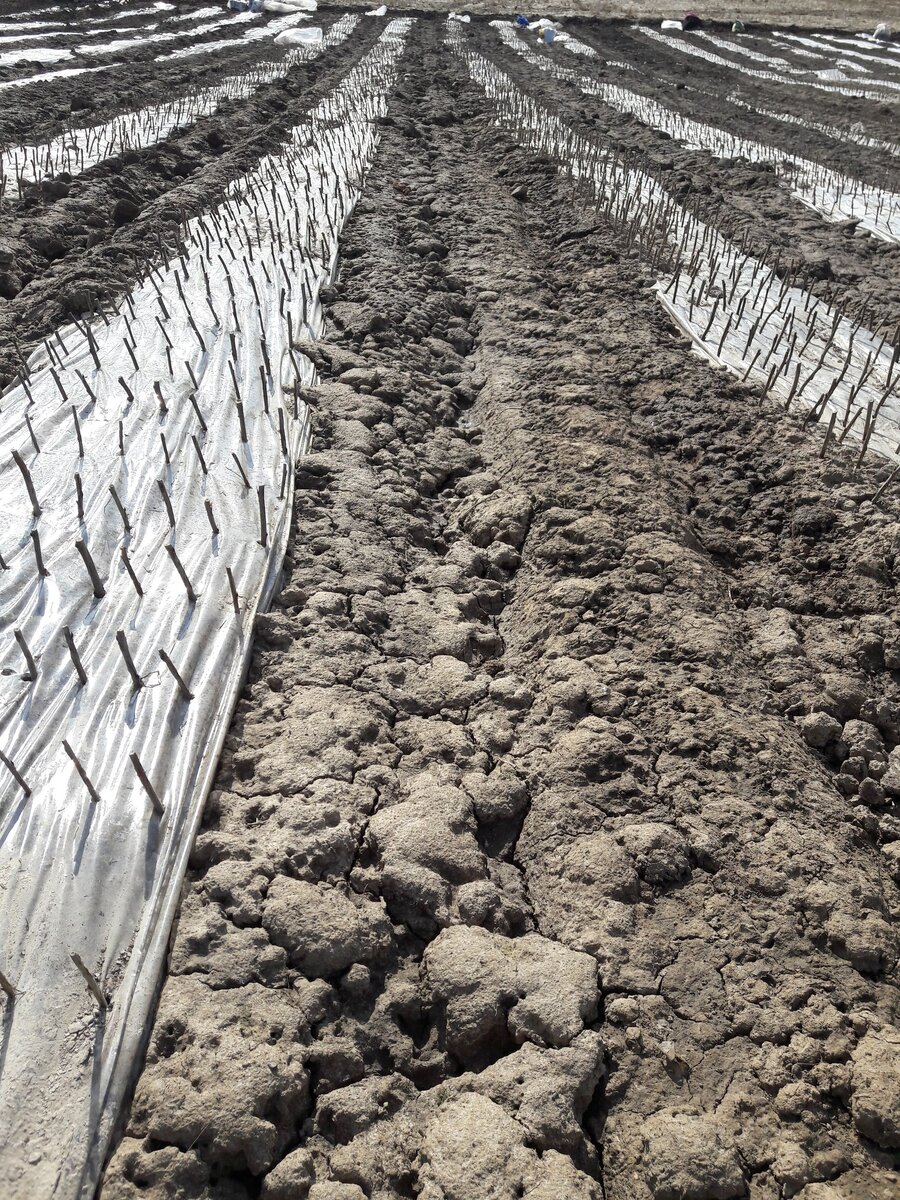 Фото из личного архива.