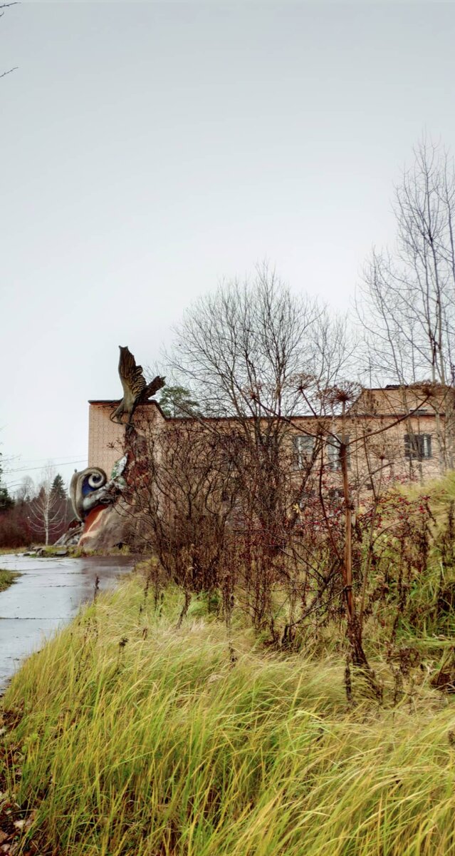 Дорога к главному корпусу