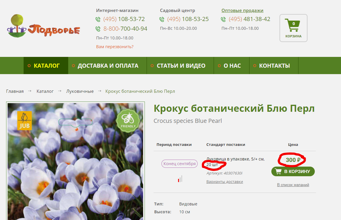 Как я посадила 2500 луковиц крокусов | Сад под Петербургом | Дзен