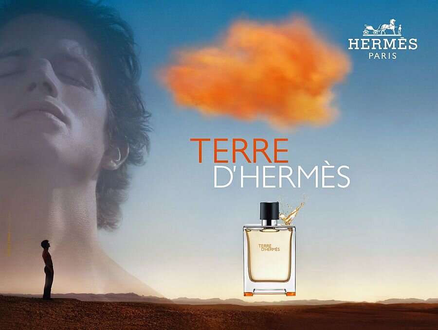 Аромат Hermes Terre d Hermes 