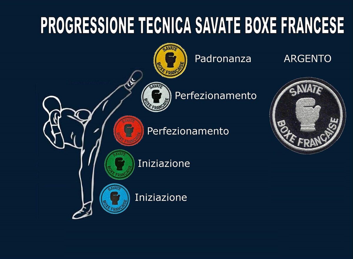  Французский бокс сават. Технические разряды. 