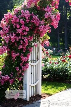 https://www.pinterest.ru/pin/585045807823297860/