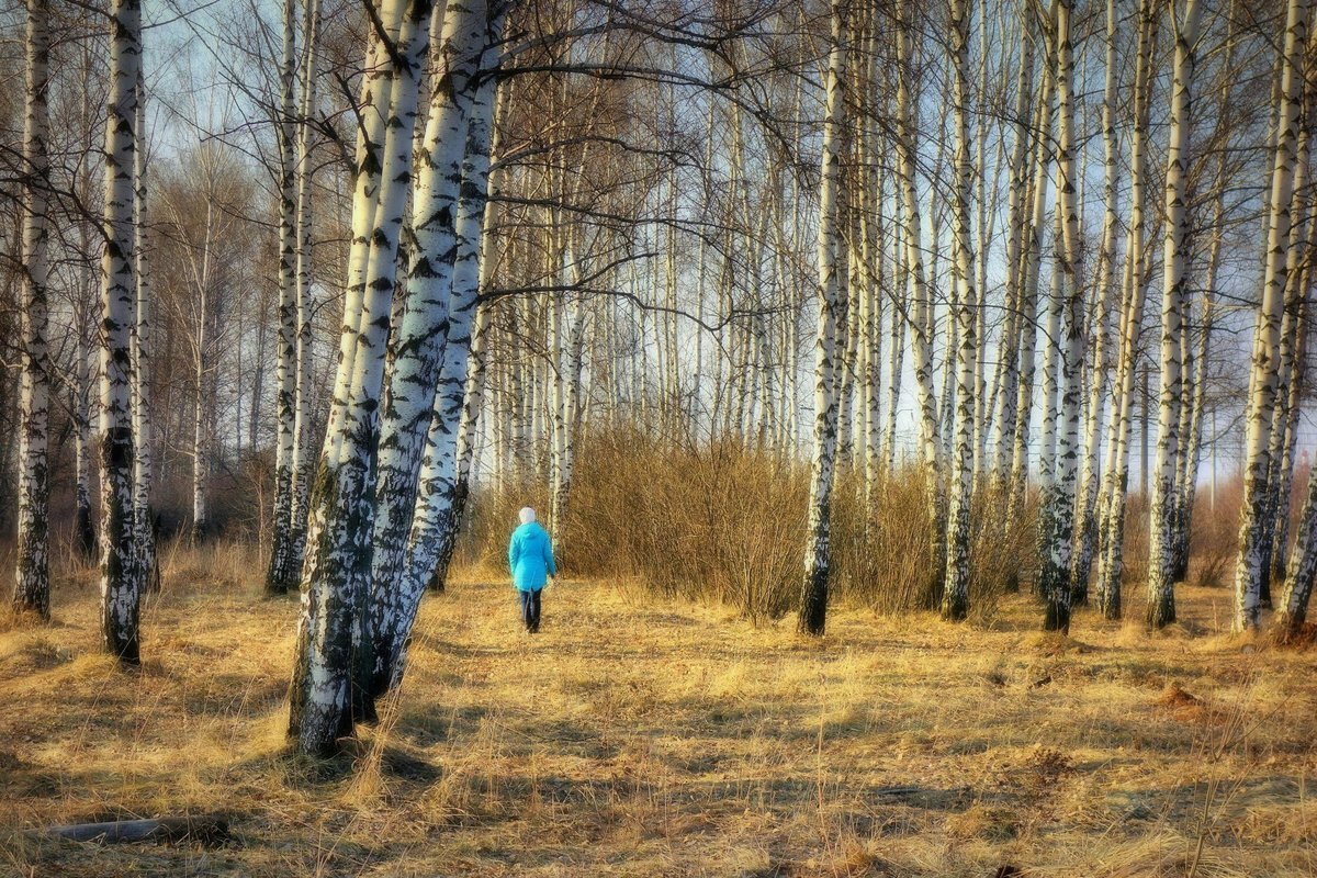 Фото с просторов интернета