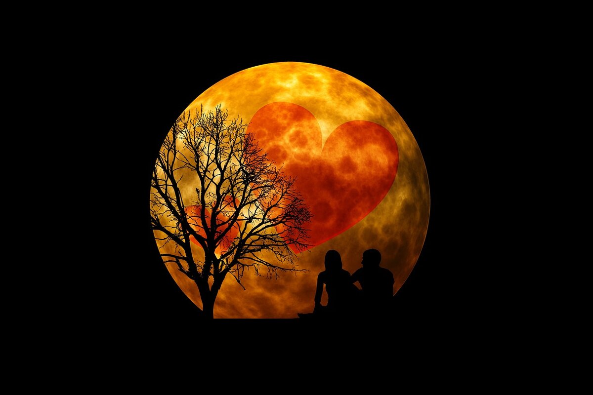 Фото с  сайта pixabay.com