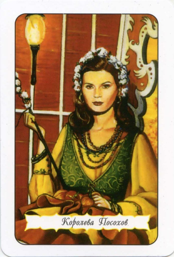 Фото с сайта https://www.cardician.ru