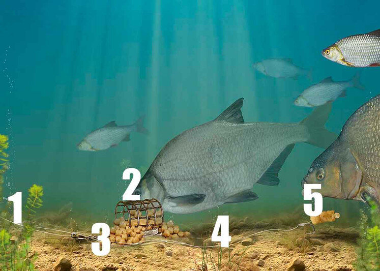 Кормушки для ловли леща
