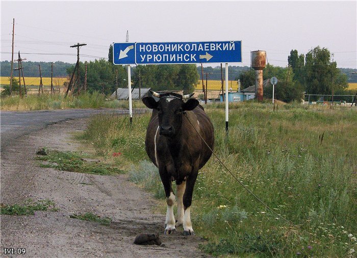 фото из открытых источников