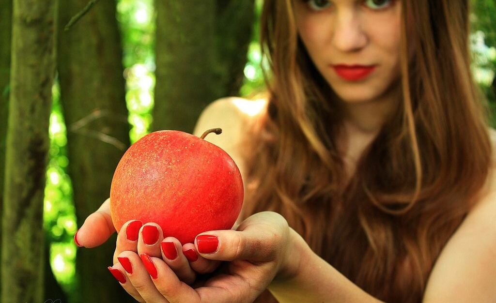 фото яндекс  картинки