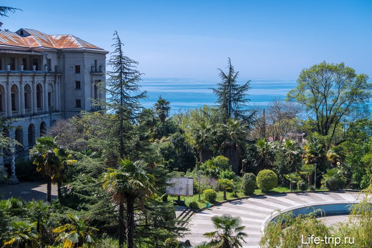 картинка взята из свободного доступа Интернет