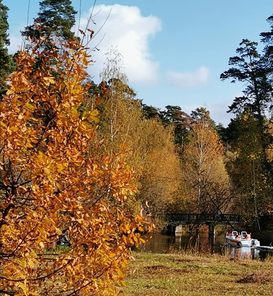 Прогулка в  Серебряном бору. Фото автора.