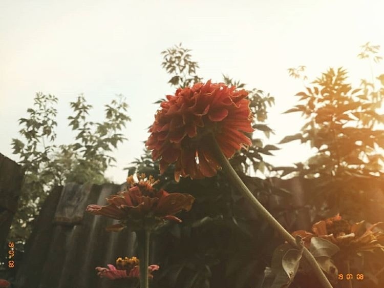 Подпишись и поставь лайк👍